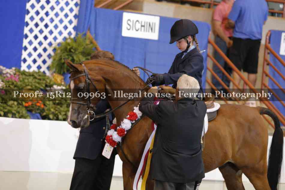 Proof Number 15R12_09963