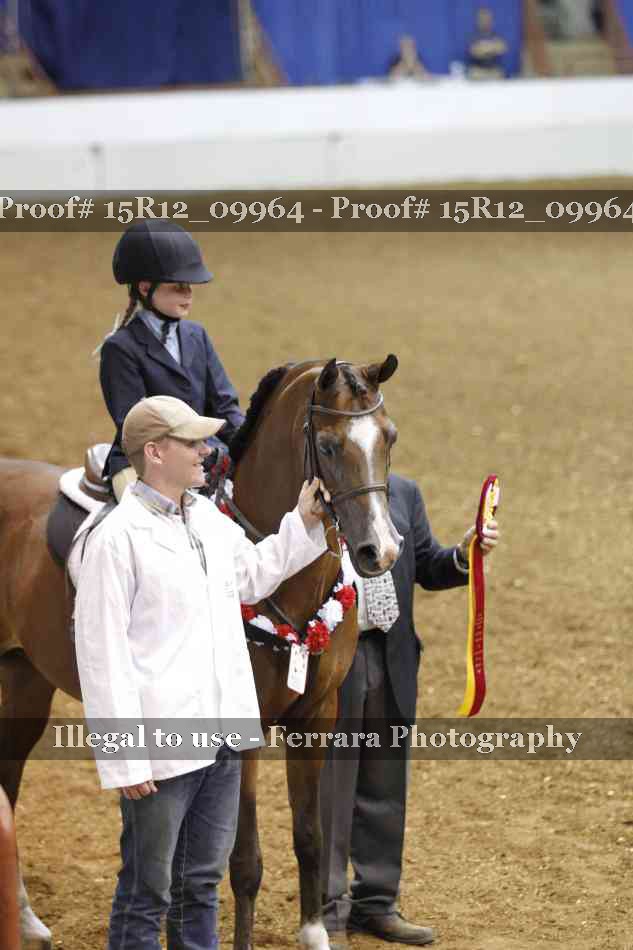 Proof Number 15R12_09964