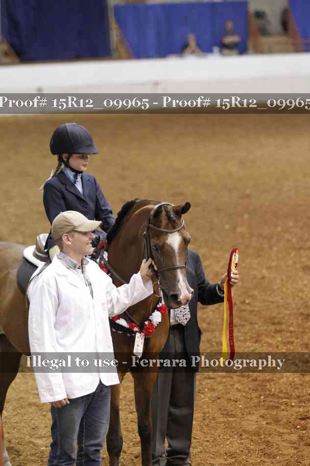 Proof Number 15R12_09965