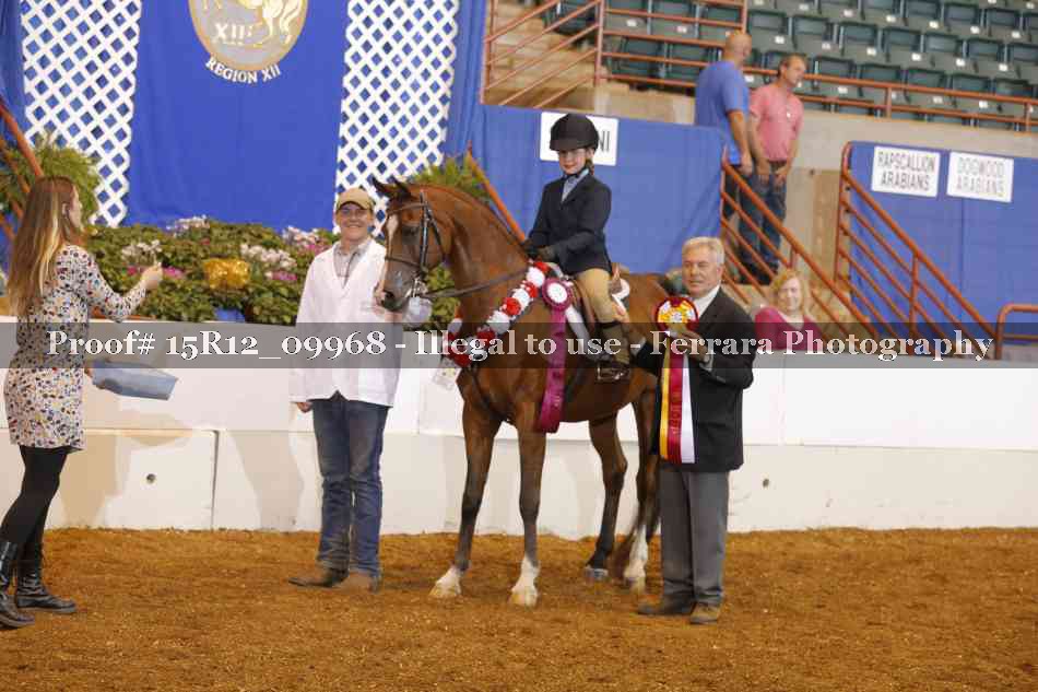 Proof Number 15R12_09968