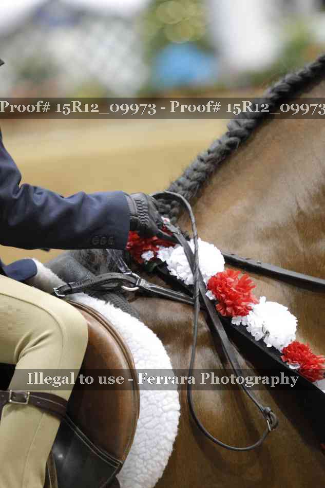 Proof Number 15R12_09973