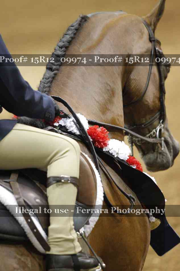 Proof Number 15R12_09974