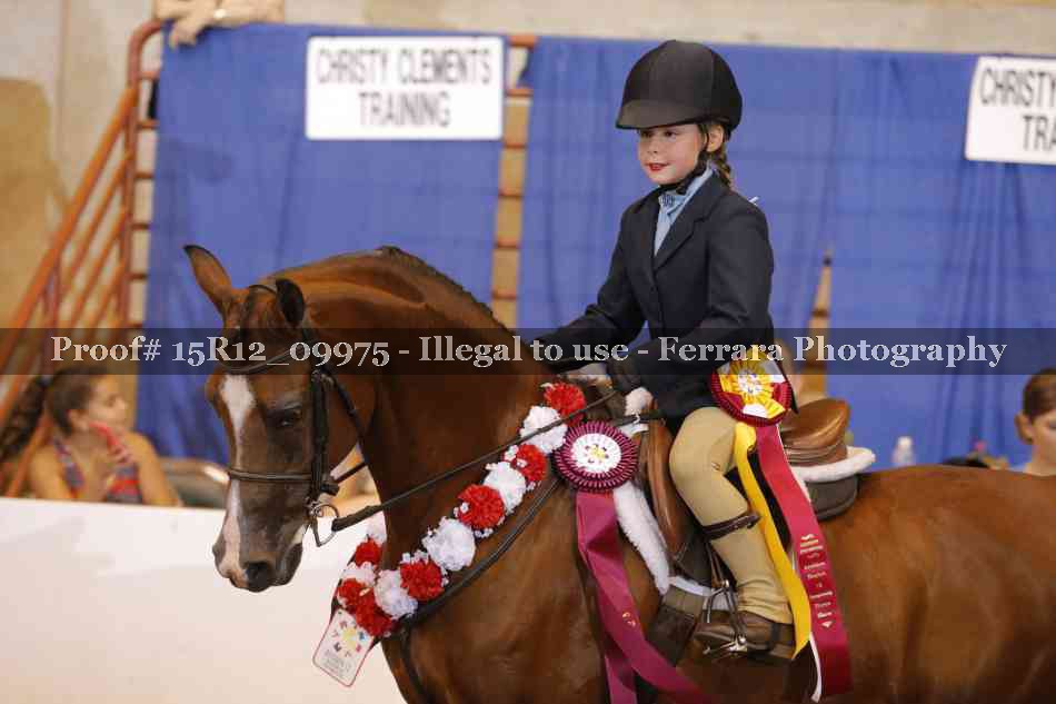 Proof Number 15R12_09975