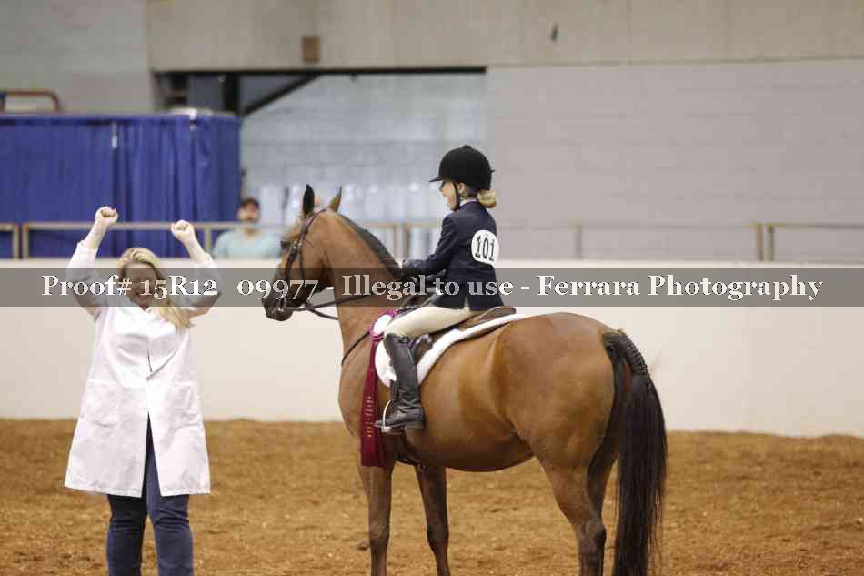 Proof Number 15R12_09977