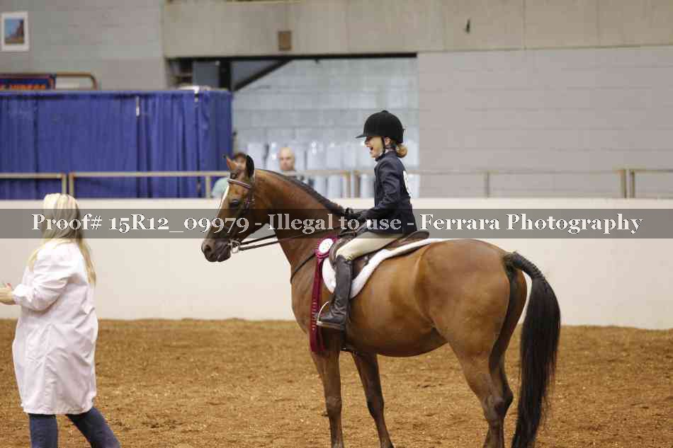 Proof Number 15R12_09979