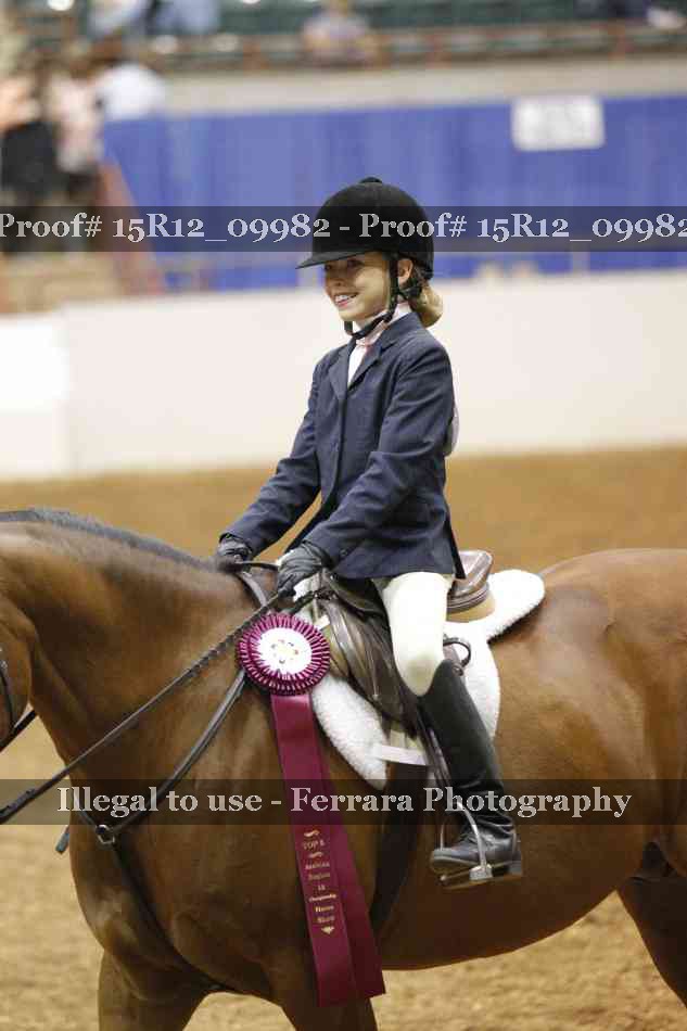 Proof Number 15R12_09982
