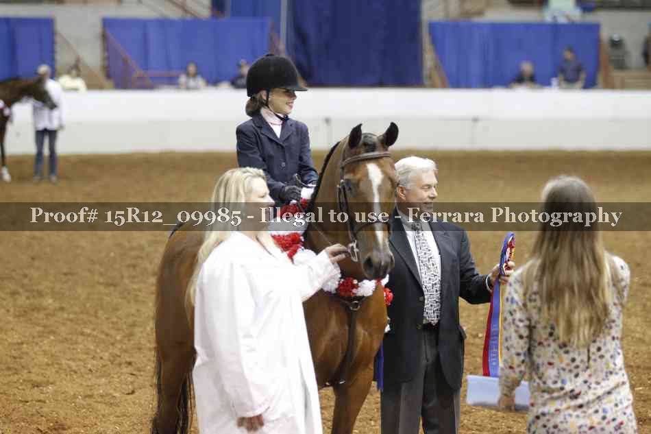 Proof Number 15R12_09985