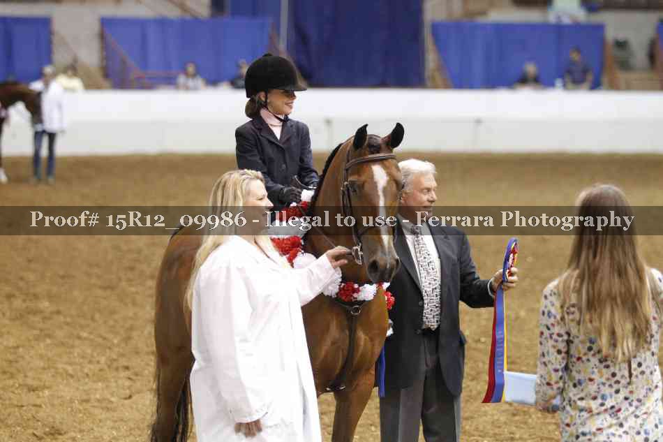 Proof Number 15R12_09986
