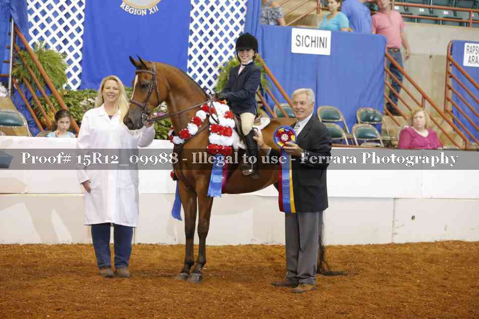 Proof Number 15R12_09988