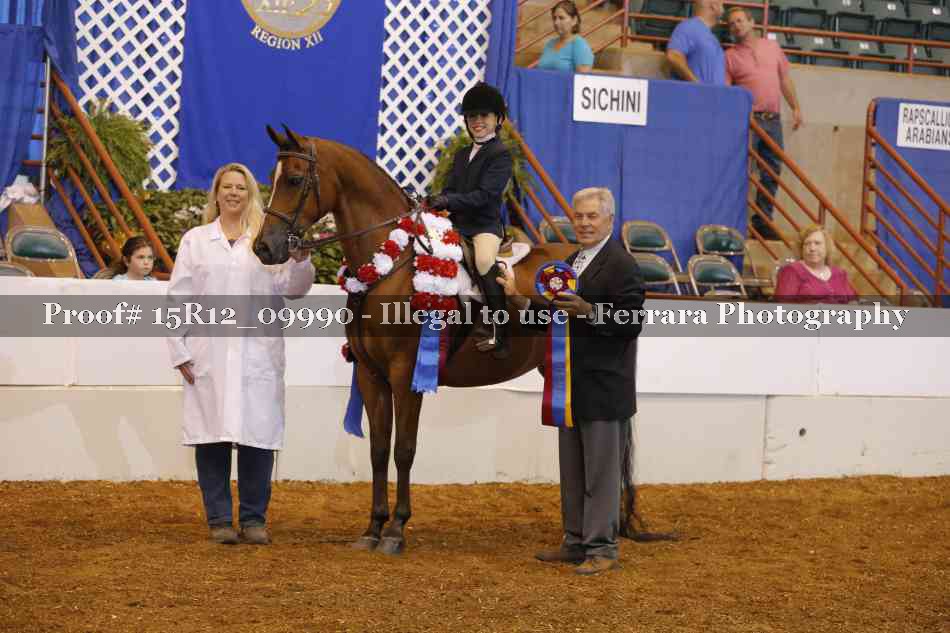 Proof Number 15R12_09990