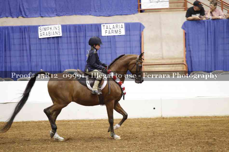 Proof Number 15R12_09991