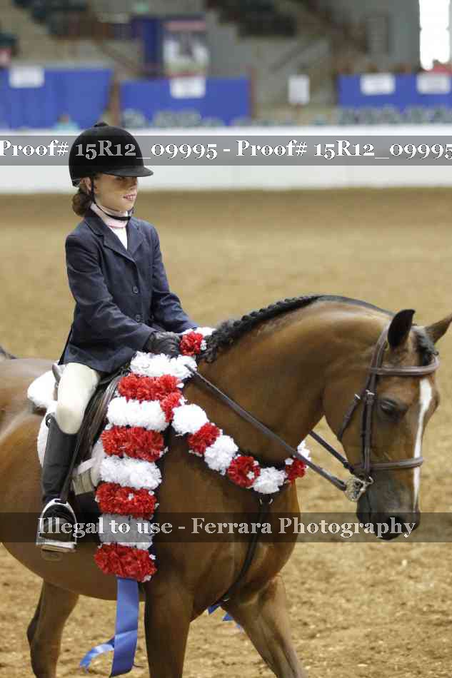 Proof Number 15R12_09995