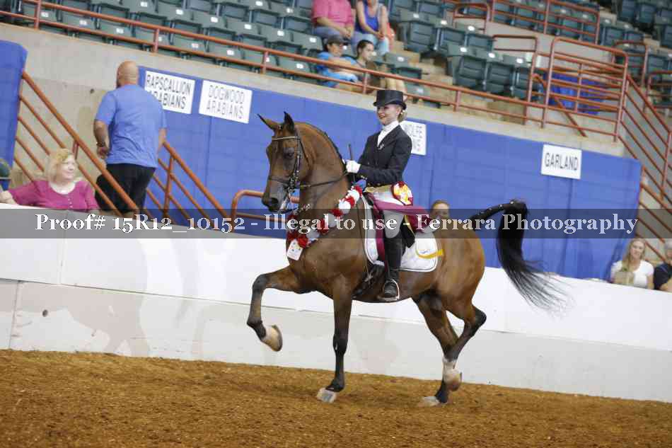 Proof Number 15R12_10152