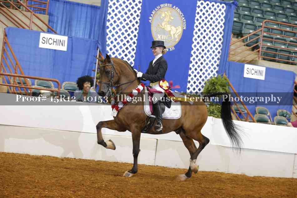 Proof Number 15R12_10153