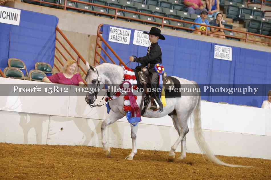 Proof Number 15R12_10230