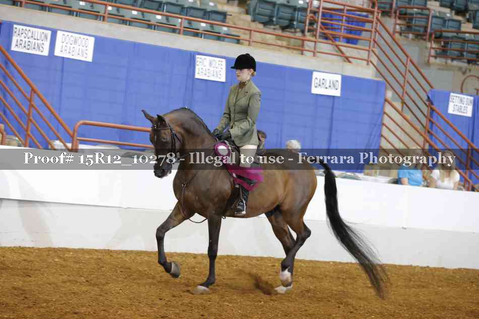 Proof Number 15R12_10278