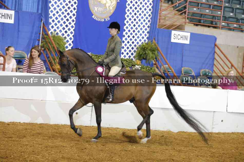 Proof Number 15R12_10279
