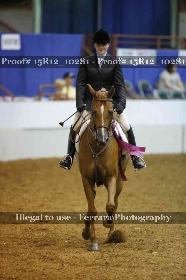 Proof Number 15R12_10281