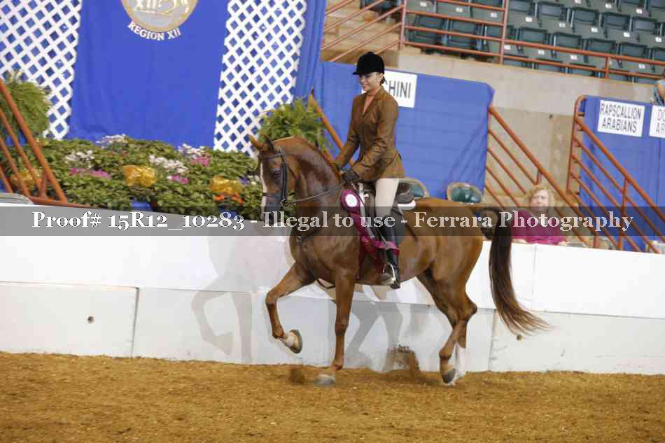 Proof Number 15R12_10283