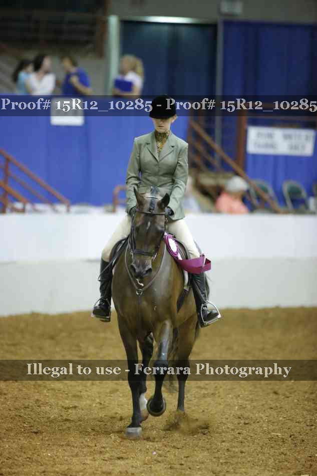 Proof Number 15R12_10285
