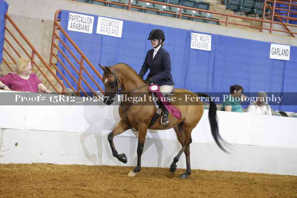 Proof Number 15R12_10287
