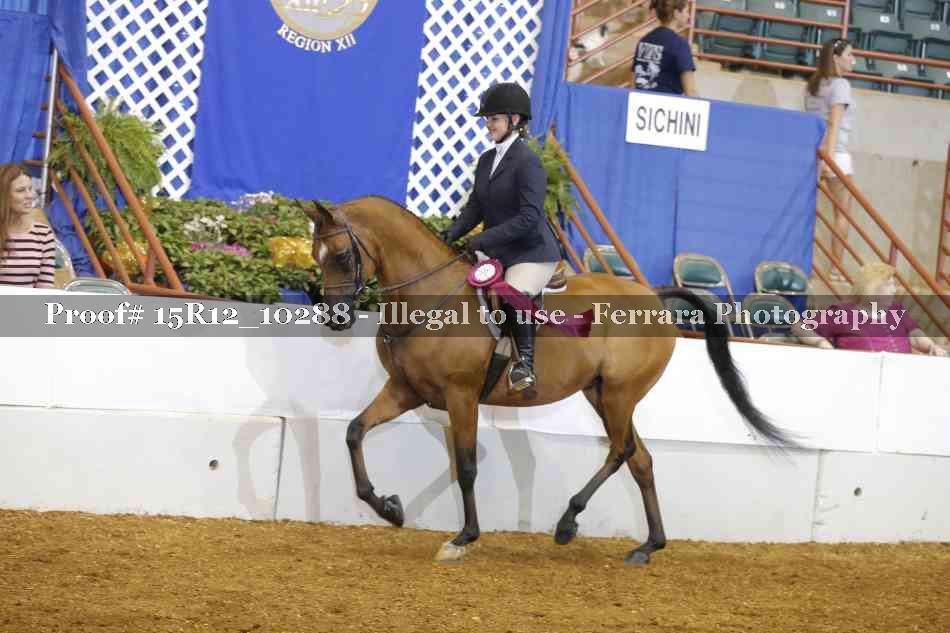 Proof Number 15R12_10288