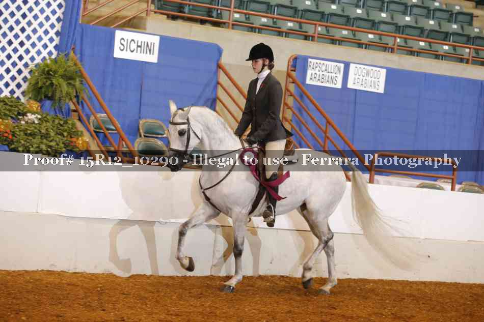 Proof Number 15R12_10290