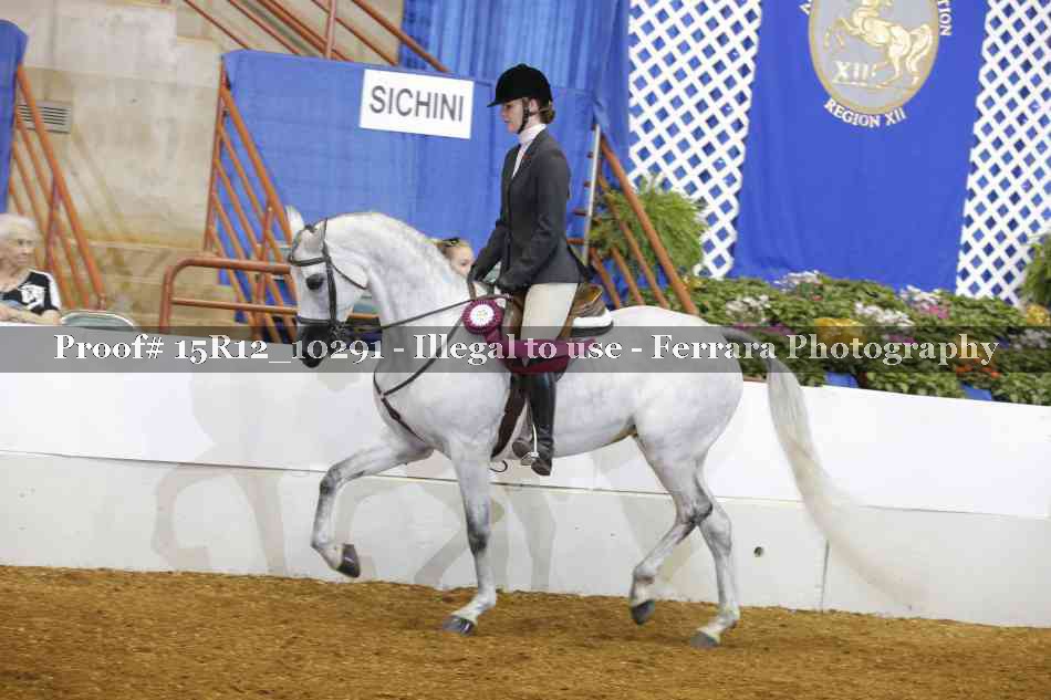Proof Number 15R12_10291