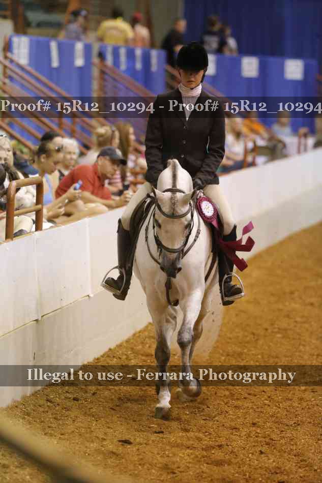Proof Number 15R12_10294