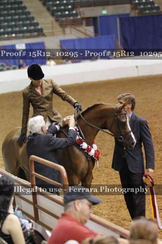 Proof Number 15R12_10295