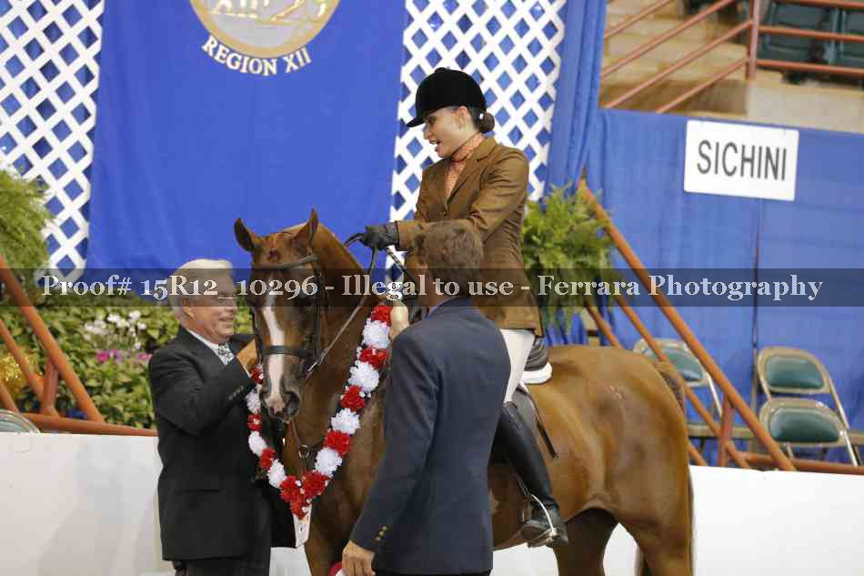 Proof Number 15R12_10296