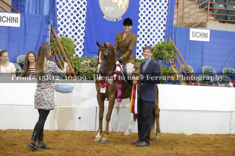 Proof Number 15R12_10299