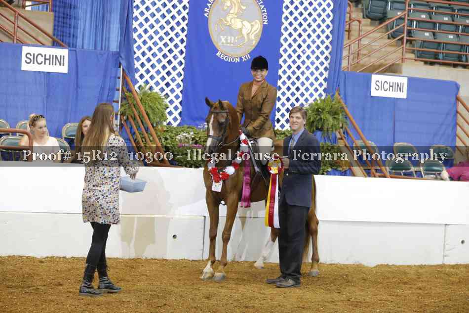Proof Number 15R12_10300