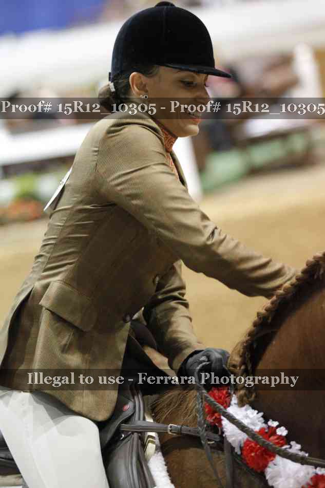 Proof Number 15R12_10305
