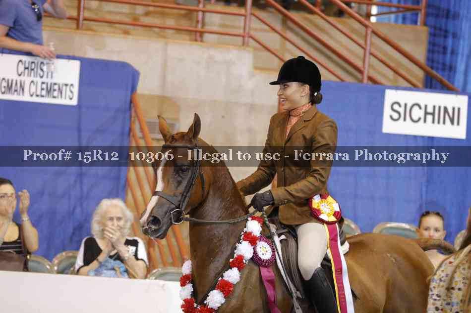 Proof Number 15R12_10306