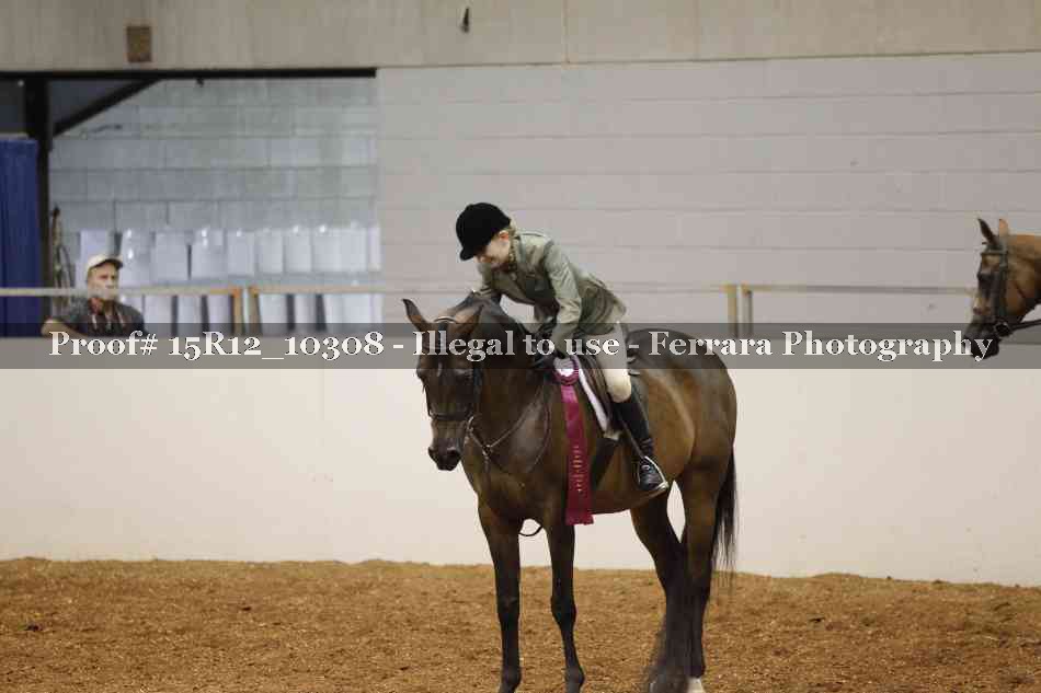 Proof Number 15R12_10308