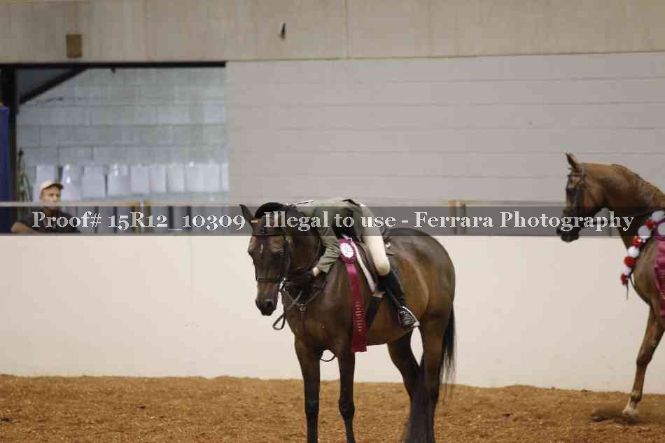 Proof Number 15R12_10309