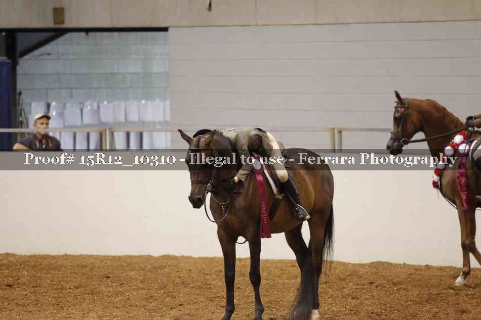 Proof Number 15R12_10310