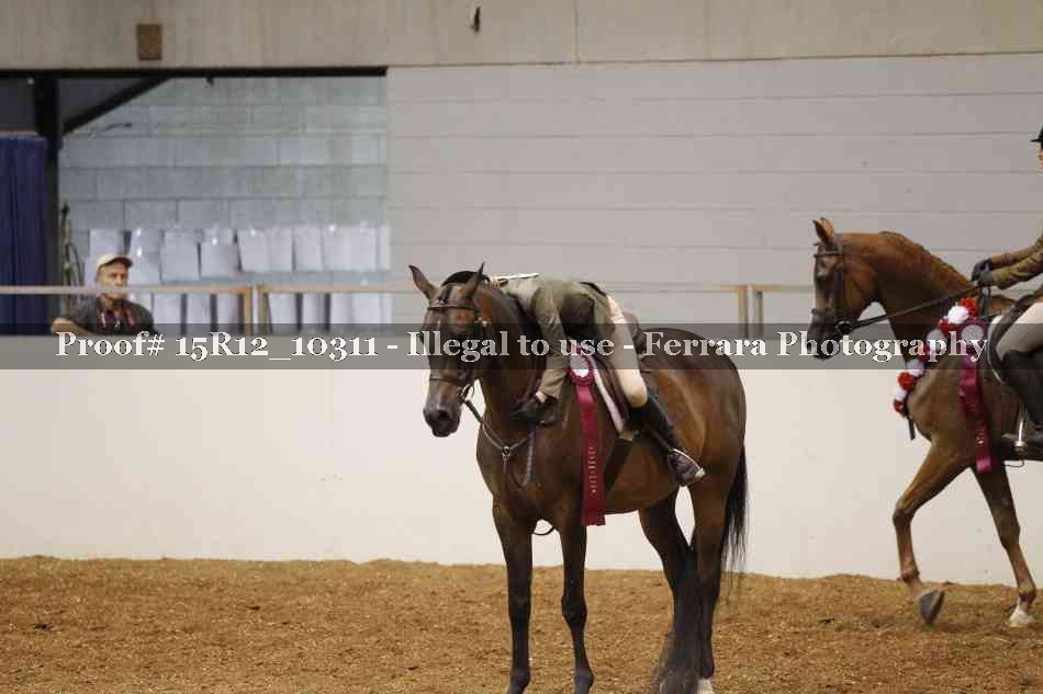 Proof Number 15R12_10311