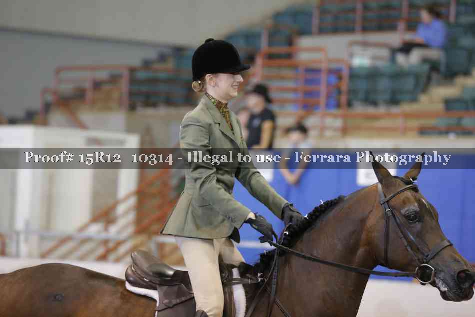 Proof Number 15R12_10314