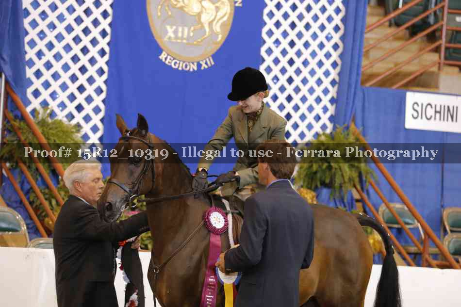 Proof Number 15R12_10319
