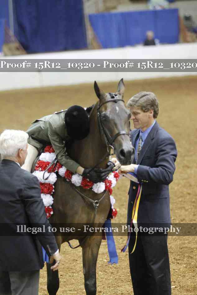 Proof Number 15R12_10320