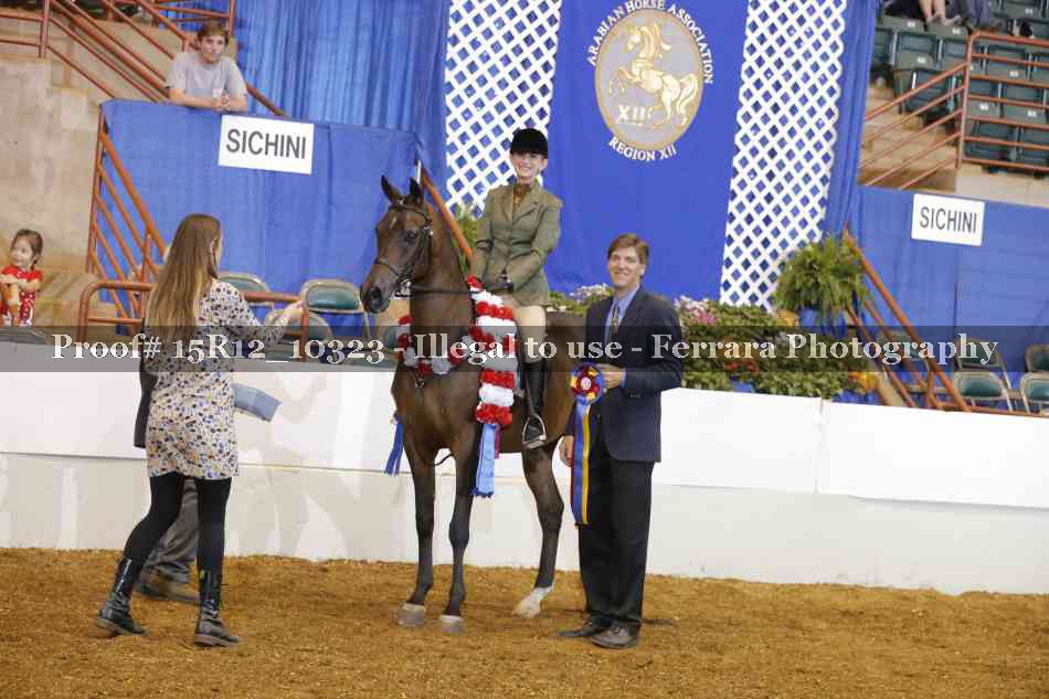 Proof Number 15R12_10323
