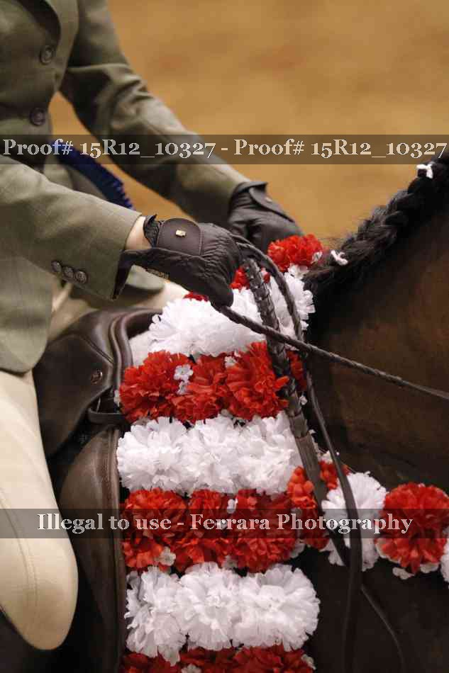 Proof Number 15R12_10327