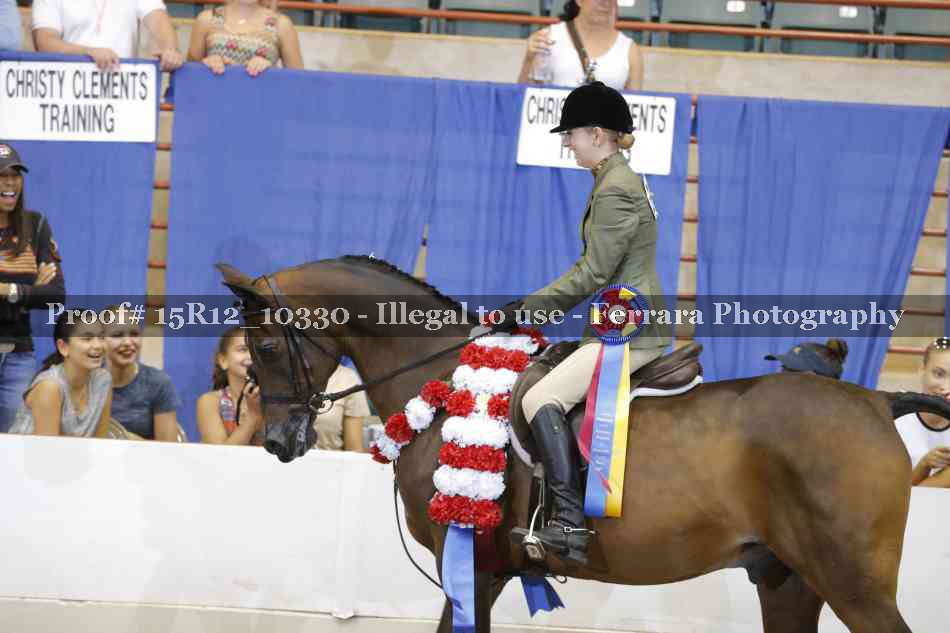 Proof Number 15R12_10330
