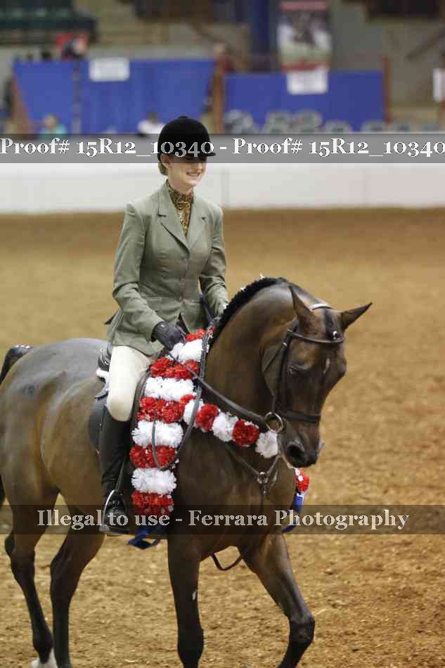 Proof Number 15R12_10340