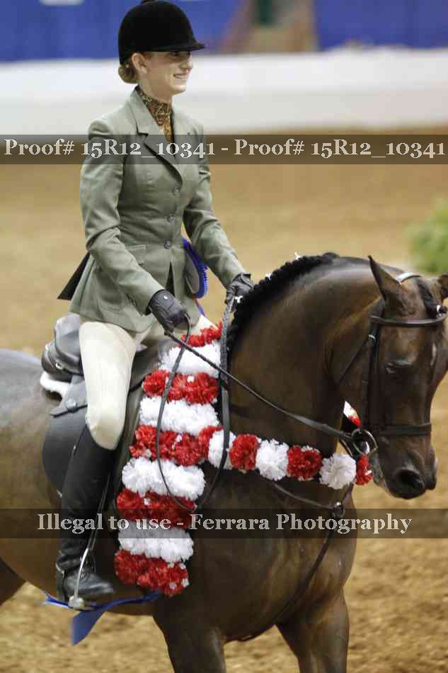 Proof Number 15R12_10341