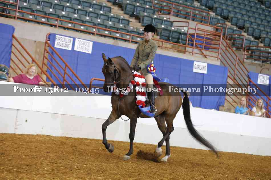 Proof Number 15R12_10345