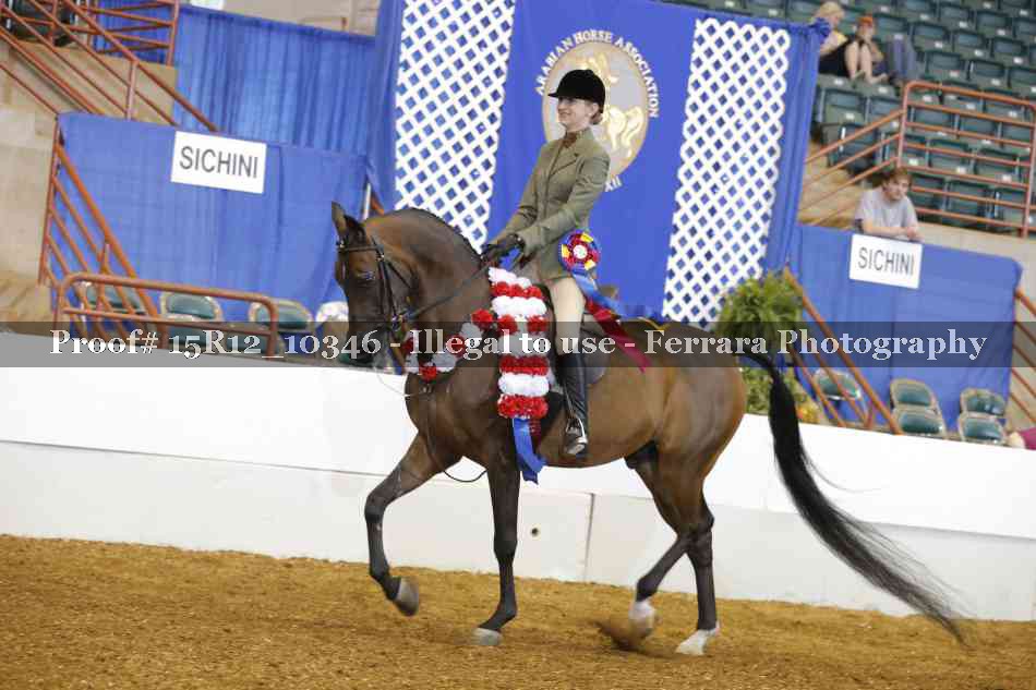 Proof Number 15R12_10346