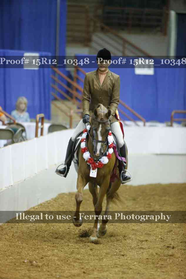 Proof Number 15R12_10348